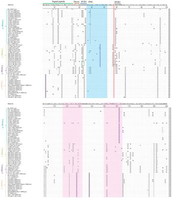 Genetic variation and recombination analysis of the GP5 (GP5a) gene of PRRSV-2 strains in China from 1996 to 2022